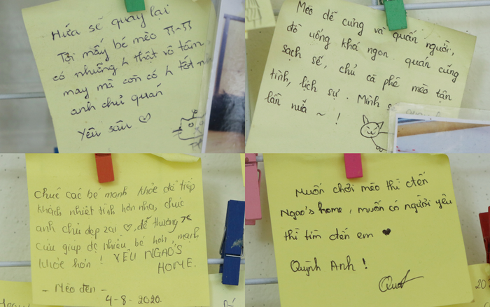 Những dòng chữ thân thương khách hàng gửi lại cho lũ mèo và anh chủ.