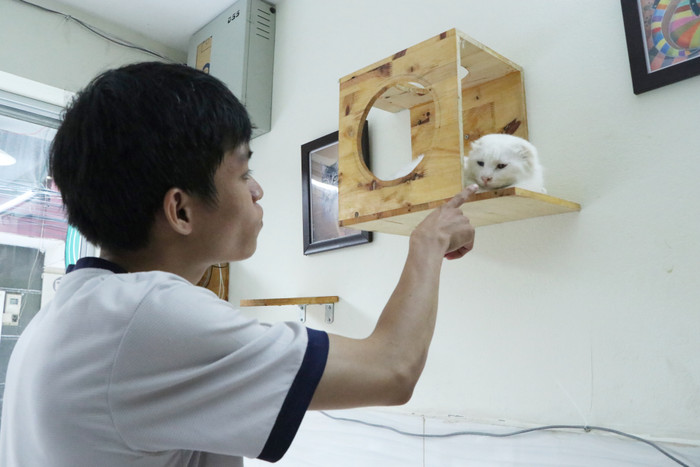 Mỗi con mèo có số phận khác nhau, có con được người mang đến gửi Bình nuôi giúp, có con Bình nhặt ở bãi rác, lò mổ.