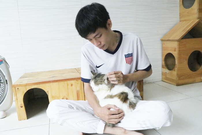 Chú mèo này được Bình cứu ra từ lò mổ, trên cơ thể lở loét.