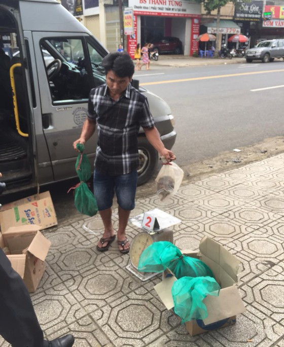 Tài xế xe khách 16 chỗ và số động vật hoang dã tại thời điểm kiểm tra. Ảnh: SGGP