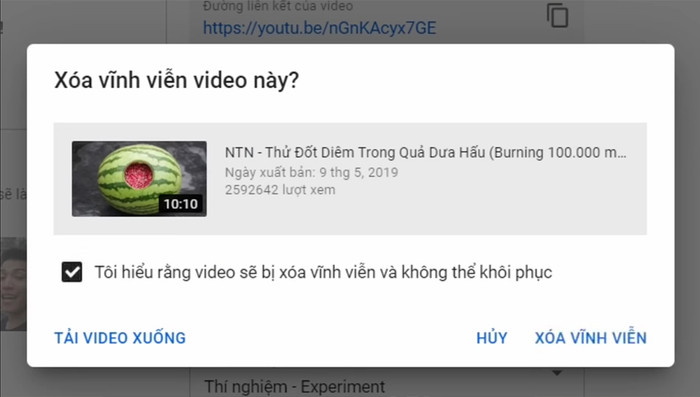 Lấy Hưng Vlog làm gương, NTN Vlog 'ăn năn' tự tay xóa loạt video phản cảm? Ảnh 4
