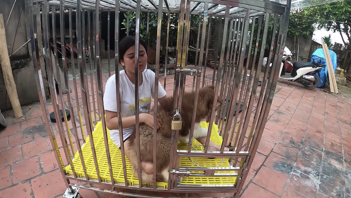 (Ảnh: Hưng Troll)