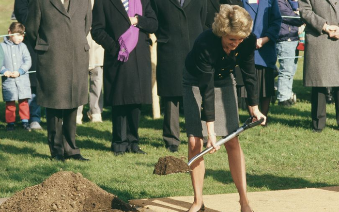 Công nương Diana từng chôn những viên đá quý trong vườn để xua tà ma Ảnh 2