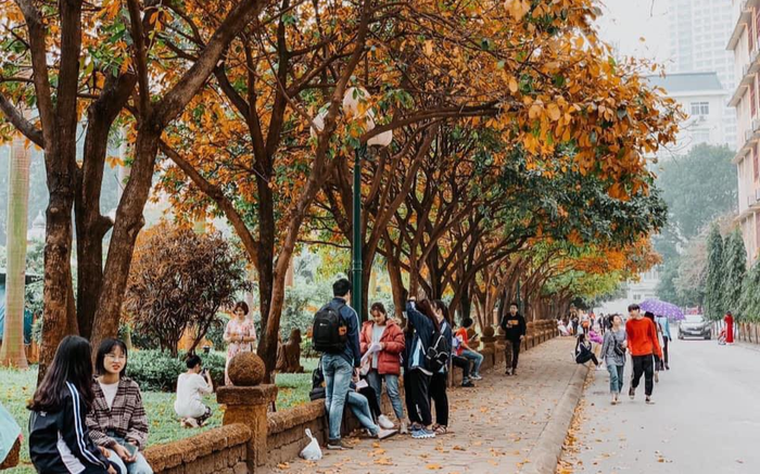 Có một 'con đường tình yêu' bên trong trường ĐH Sư phạm Hà Nội mỗi dịp đông về Ảnh 2