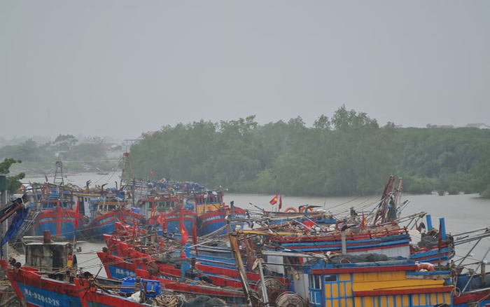 Ngư dân kéo thuyền bè lên bờ tránh bão số 7 Ảnh 2