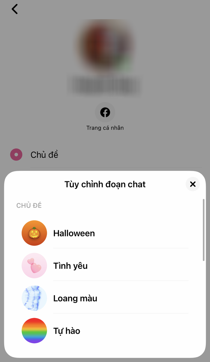 Facebook Messenger vừa có một tính năng hấp dẫn, đây là cách để bạn thử ngay Ảnh 10