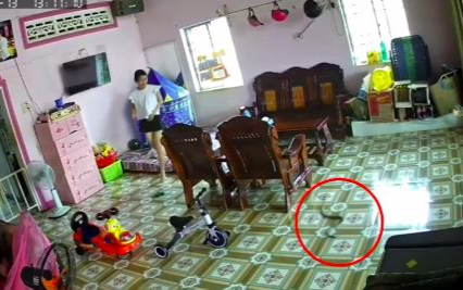 Clip: Đang ngồi xông hơi thì thấy con rắn đen sì lao thẳng vào trong nhà, người phụ nữ mới sinh hoảng hốt tháo chạy Ảnh 2