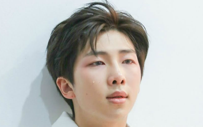 RM (BTS) từng phải đối mặt với chỉ trích nặng nề khi quyết định trở thành idol K-Pop Ảnh 2