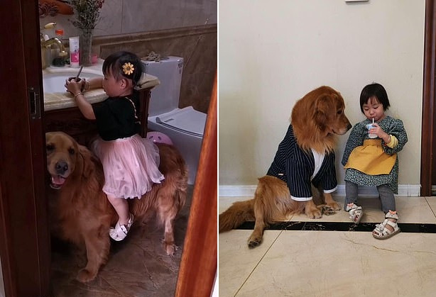 Khoảnh khắc đời thường giữa You You và Harry.