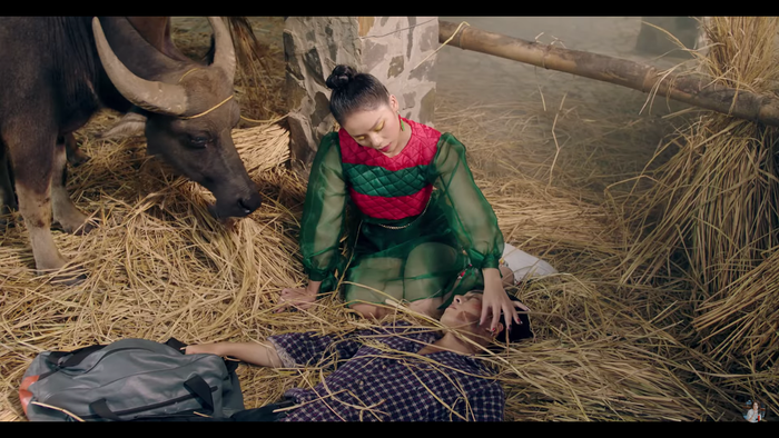 Ngồi trong chuồng gia súc với đầy ắp những ụ rơm.