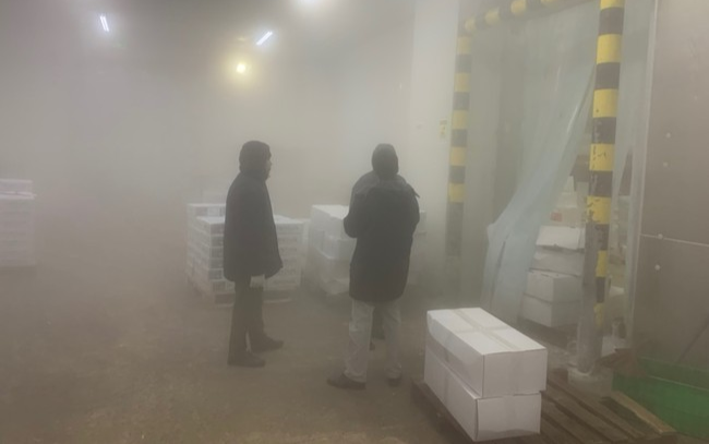 Ngăn chặn kịp thời 2,5 tấn cá hồi hết hạn sử dụng hơn một năm đang tái chế để xuất khẩu Ảnh 2