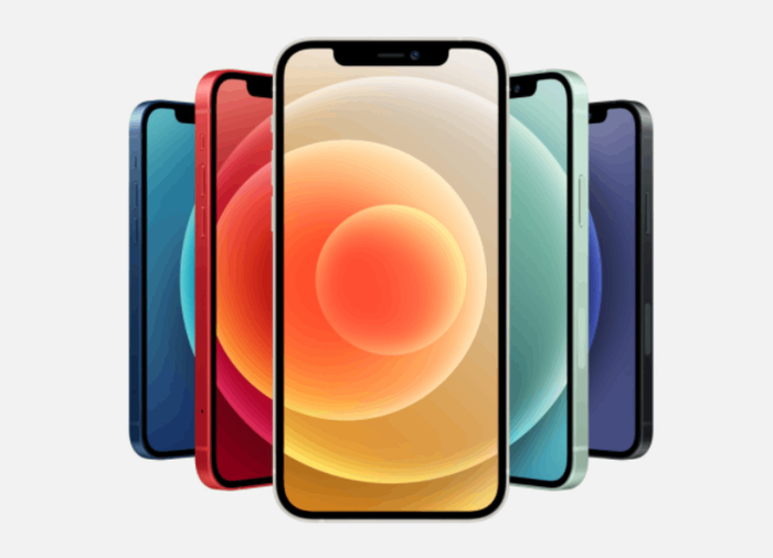 iPhone 12 có cụm 2 camera. Ảnh: Apple