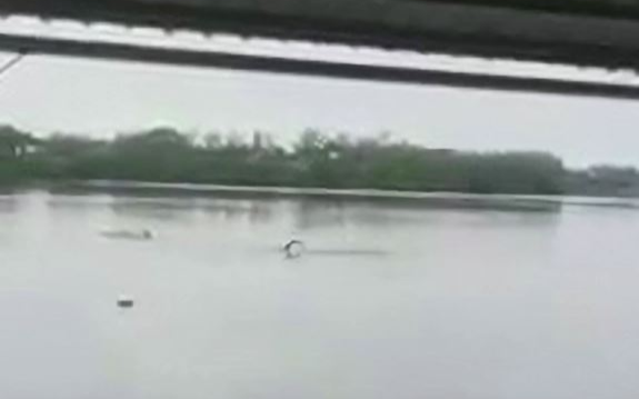 Bơi trong hồ bất chấp lệnh cấm thì đụng mặt cá sấu, người đàn ông phải trả giá đắt Ảnh 2