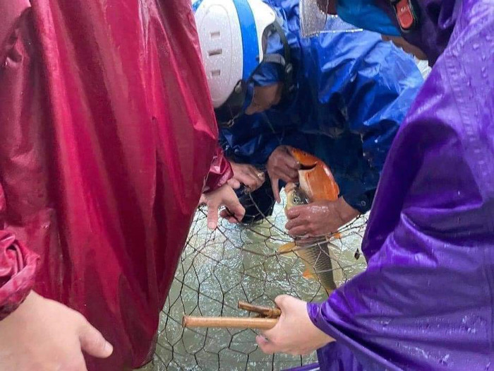 Đây là hình ảnh xưa nay hiếm ở TP Hà Tĩnh