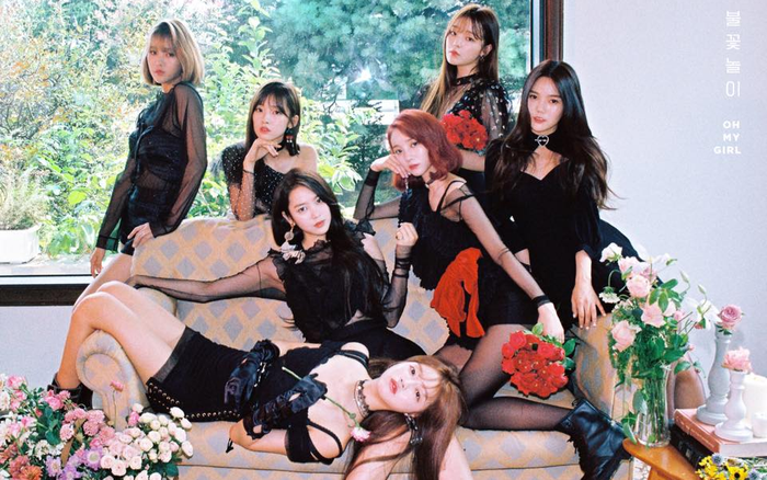 Seunghee và Binnie - thành viên nhóm Oh My Girl thú nhận họ suýt tan rã vì không được yêu thích Ảnh 2