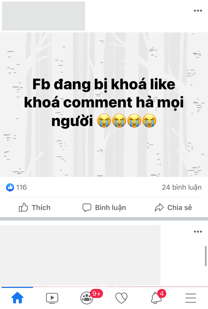 (Ảnh chụp màn hình)