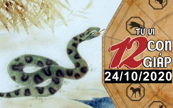 Tử vi thứ 7 ngày 24/10/2020 của 12 con giáp: Mão dễ gặp phải kẻ thứ 3, Tỵ vượng vận đào hoa Ảnh 2