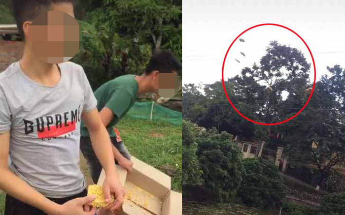 Bị chỉ trích vì ném hàng chục gói mì xuống ao khi miền Trung lũ lụt, hai thanh niên lên tiếng đáp trả cộng đồng mạng Ảnh 2