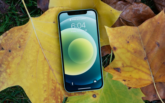 Apple chưa ưu tiên bán iPhone 12 và iPhone 12 Pro tại Việt Nam Ảnh 2