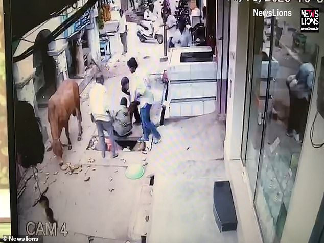 Những người xung quanh tới đỡ người đàn ông dậy, con bò vẫn thản nhiên đánh chén chiến lợi phẩm. 