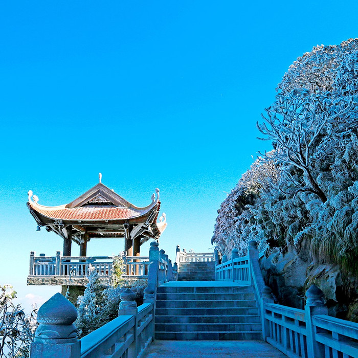 Băng giá xuất hiện trên đỉnh Fansipan cực hiếm vào tháng 10, dự báo một mùa đông khắc nghiệt Ảnh 8