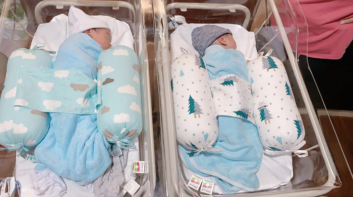 Có thể thấy, 2 nhóc tì nhà Dương Khắc Linh trộm vía hồng hào và bụ bẫm