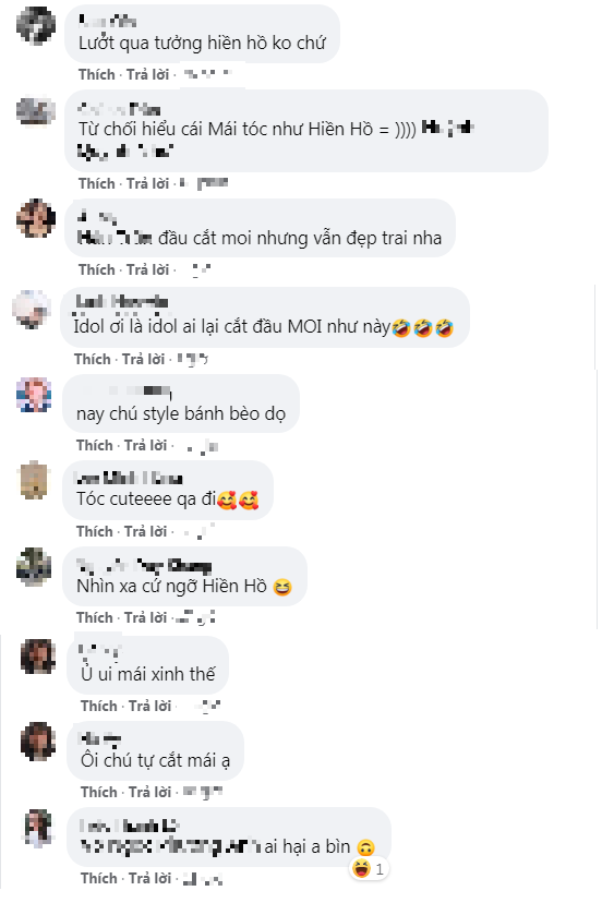 Nhiều người nhận xét quả mái của Trịnh Thăng Bình trông không khác gì kiểu tóc 'thương hiệu' của nữ ca sĩ Hiền Hồ