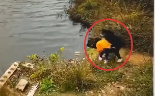 Thừa dịp bạn cúi xuống buộc dây giày, người phụ nữ xô bạn xuống hồ nước và cái kết đau lòng cho cả hai Ảnh 2