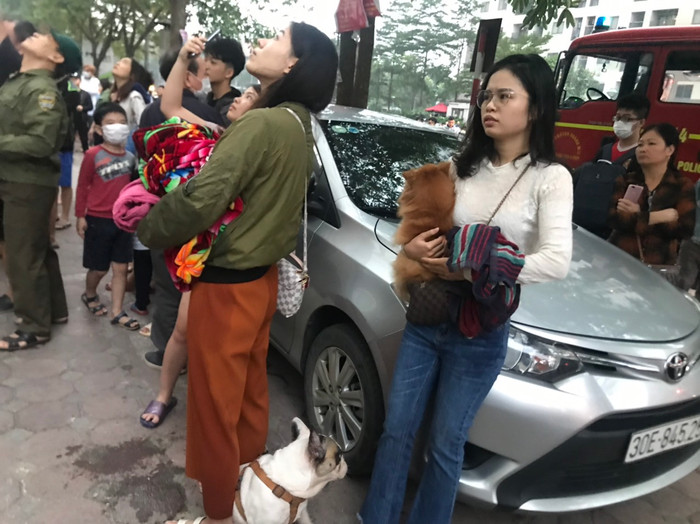 Nhiều người ôm chó cưng vội vã chạy xuống đất.