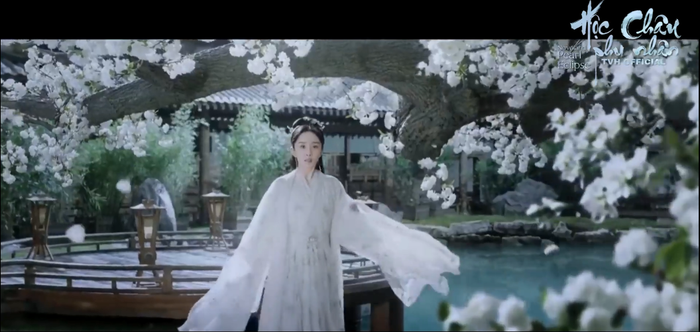 Dương Mịch tình tứ cùng Trần Vỹ Đình trong trailer 'Hộc Châu phu nhân' Ảnh 9