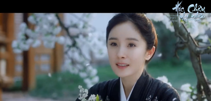 Dương Mịch tình tứ cùng Trần Vỹ Đình trong trailer 'Hộc Châu phu nhân' Ảnh 11