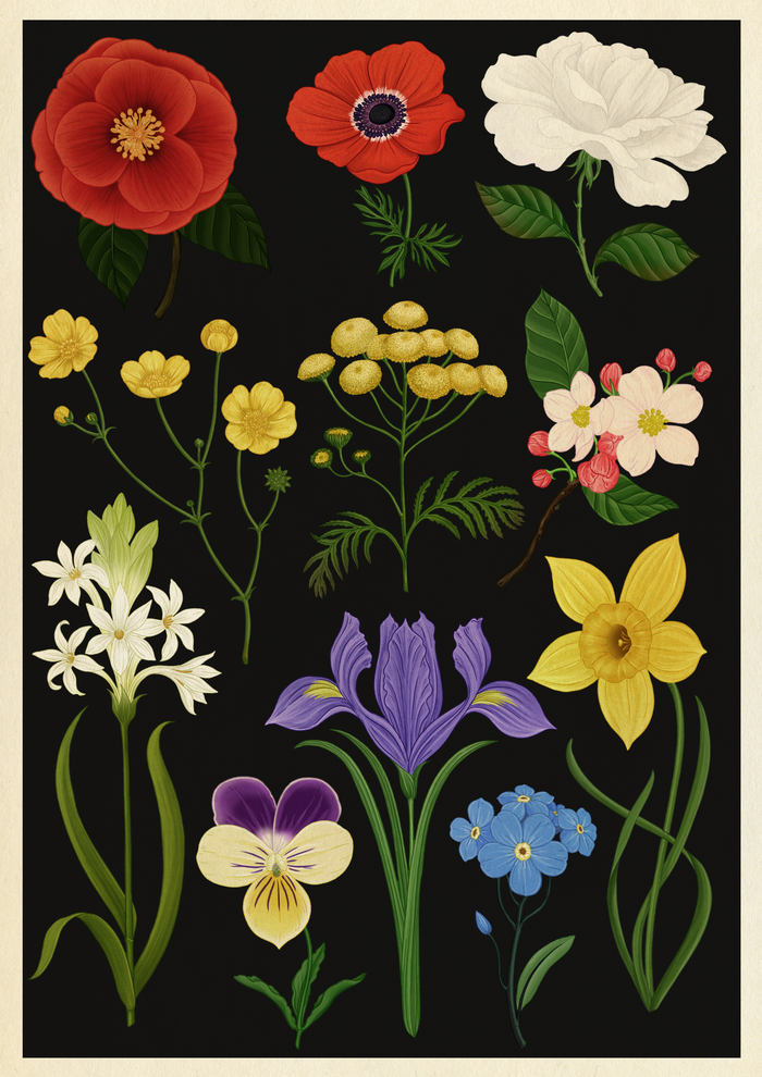 Sam Smith chính thức trở lại với full album Love Goes sau 3 năm vắng bóng Ảnh 5