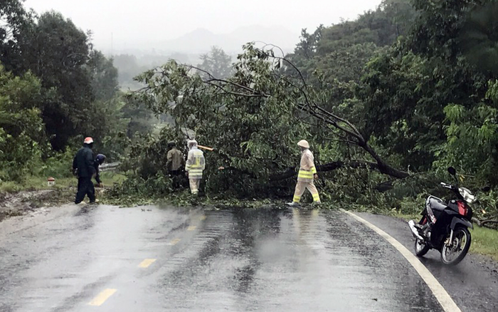 Bão số 9 gây mất điện tại 4 huyện ở Gia Lai, 1 người bị thương nặng do tường đổ Ảnh 2
