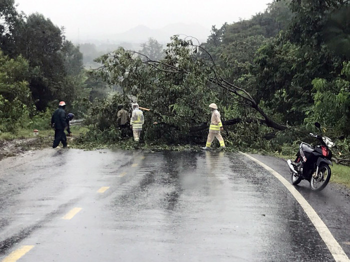 Cây xanh ngã đổ dưới chân đèo Chư Sê. Ảnh: Ngọc Sang/Ảnh: Báo Gia Lai