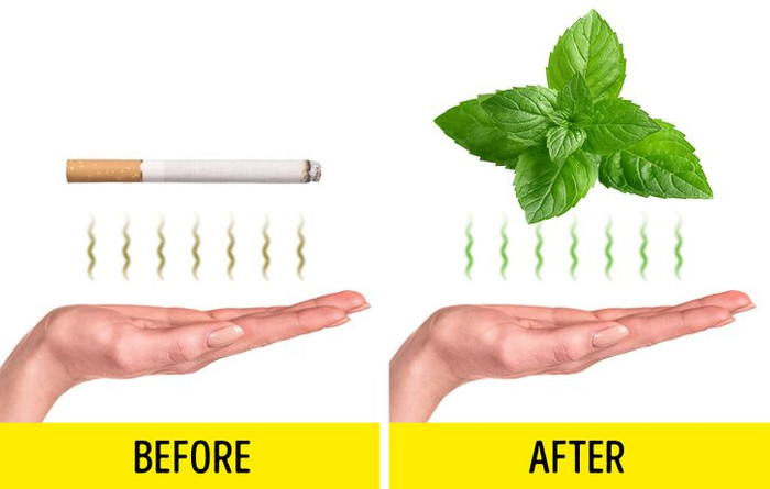 10 tips làm đẹp cấp tốc giấu nhẹm mọi khuyết điểm trong 5 phút Ảnh 7