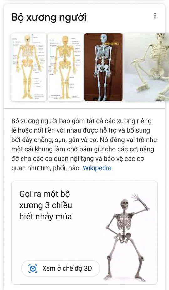 Bộ xương người (hoặc human skeleton).