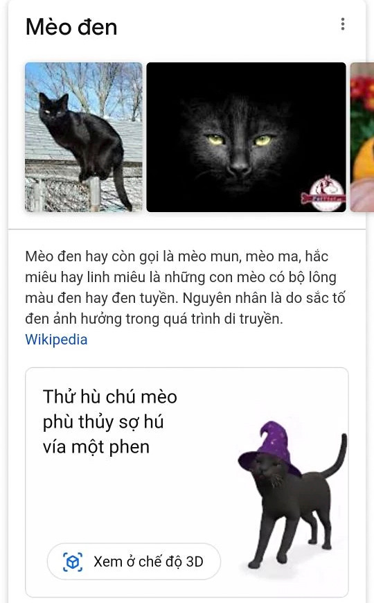 Mèo đen, mèo ma thuật (hoặc black cat).