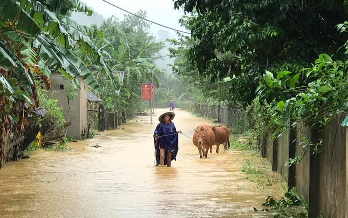 Hà Tĩnh lệnh sơ tán khẩn cả nghìn người dân khỏi vùng ngập lụt, sạt lở Ảnh 2