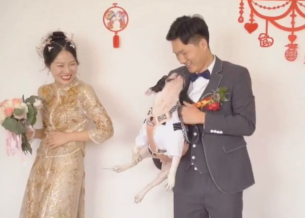 'Tiểu tam' ngang ngược hoành hành trong lễ cưới, chẳng những xua đuổi cô dâu mà còn liếc mắt đưa tình với chú rể, quan trọng là chẳng ai dám ho he gì!