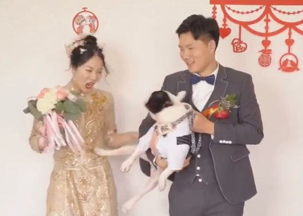 'Cô là ai, tui không biết, cô đi ra đi!'