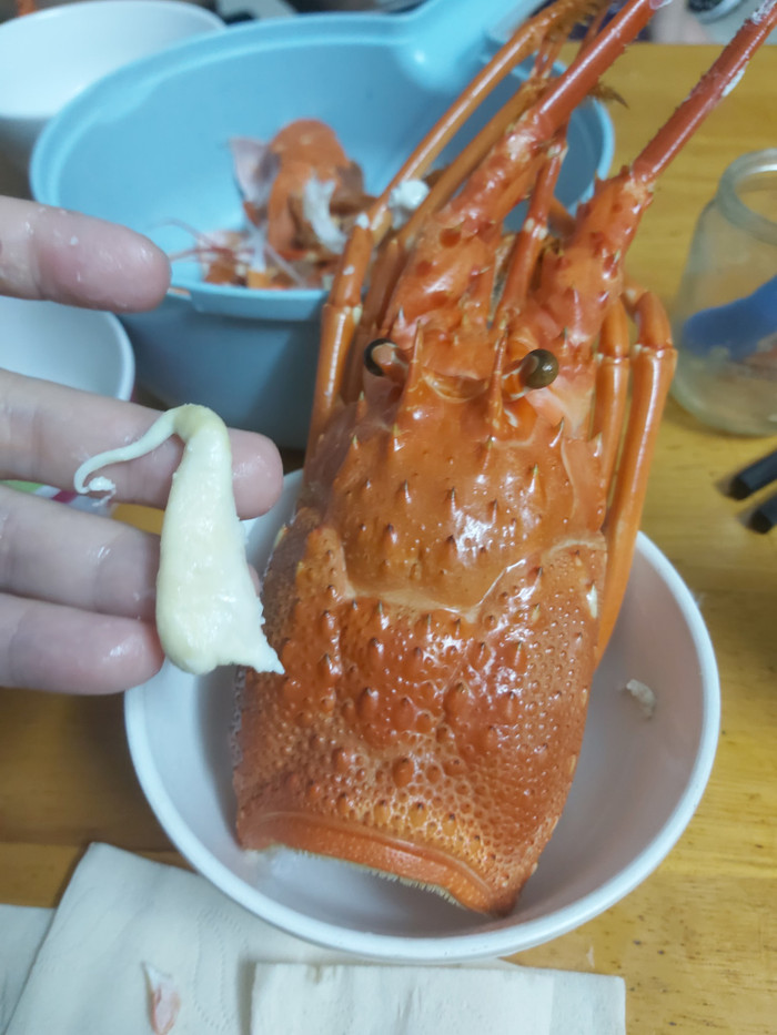 Phát hoảng vì ăn tôm hùm có 'cao su', thiếu nữ 'cầu cứu' dân mạng và cái kết bất ngờ Ảnh 4