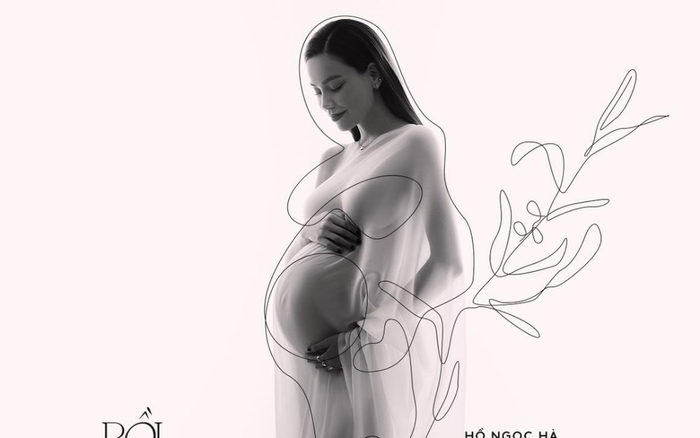 Hồ Ngọc Hà chính thức công bố hình ảnh mang song thai Ảnh 2