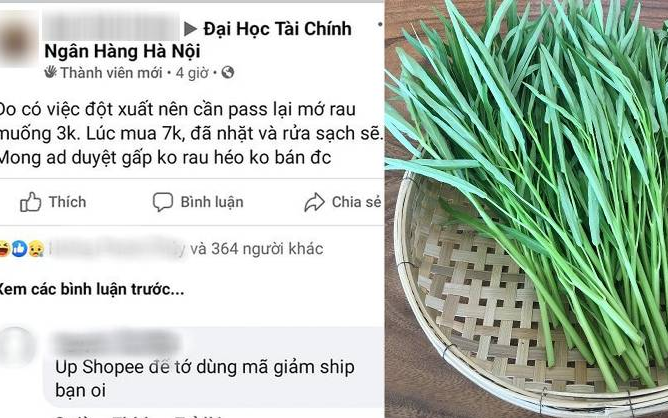 Rao bán lại bó rau muống với giá 3.000 đồng, nam sinh nhận 'bão đơn' bởi lối đăng bài cực duyên dáng Ảnh 2