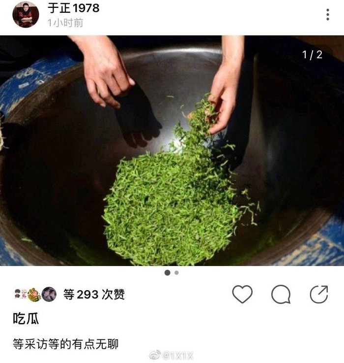 Được biết, 'trà xanh' chỉ kiểu con gái ra vẻ thanh cao, mong manh thuần khiết nhưng thực chất lại rất mưu mô xảo quyệt