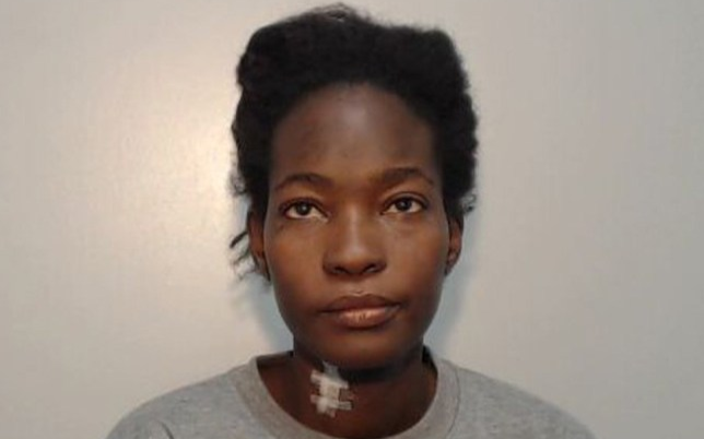 Người phụ nữ điên cuồng đâm 30 nhát dao, tạt nước sôi bạn cùng nhà vì sợ bị trục xuất Ảnh 2