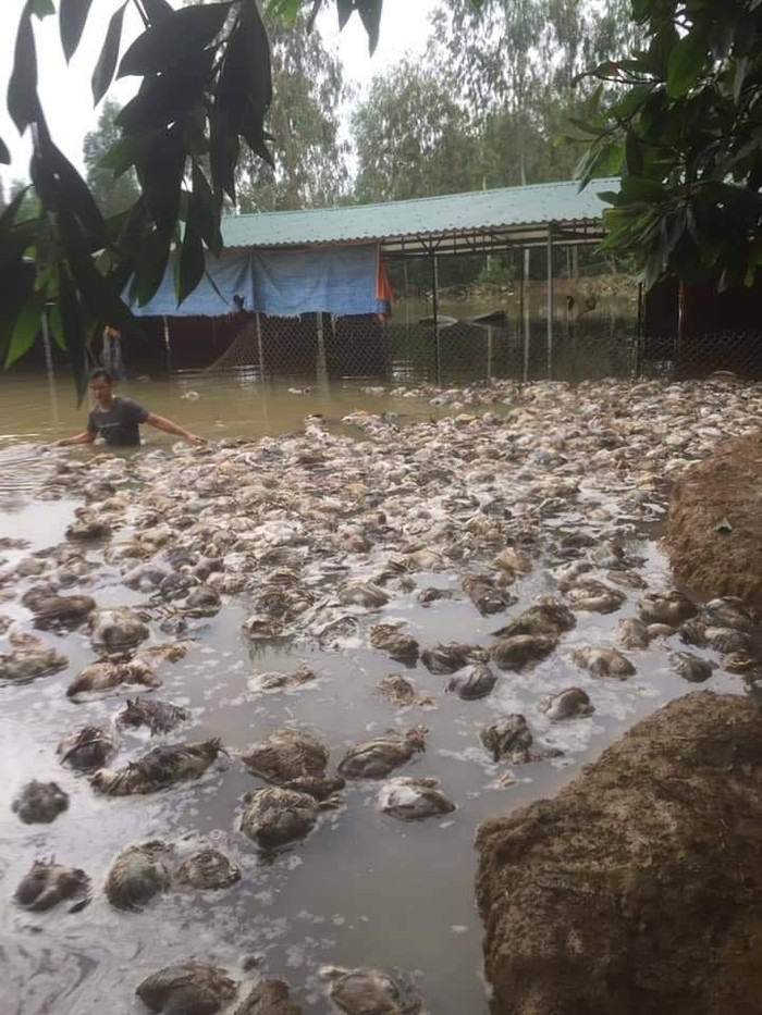 Thuỷ Tiên - Công Vinh hỗ trợ 115 triệu đồng cho một hộ dân ở Nghệ An Ảnh 2