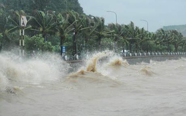 Phú Yên ra thông báo cấm biển từ 9h ngày 4/11 để ứng phó với bão số 10 Ảnh 2