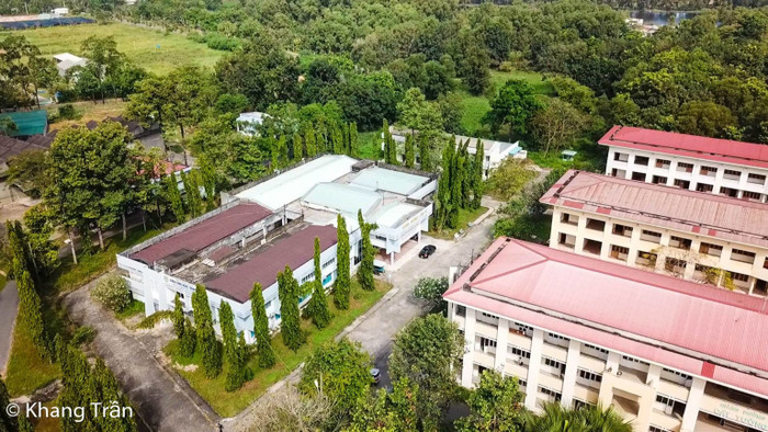 Giảng đường mang tên các loài hoa Cẩm Tú, Cát Tường, Tường Vy, Hướng Dương.