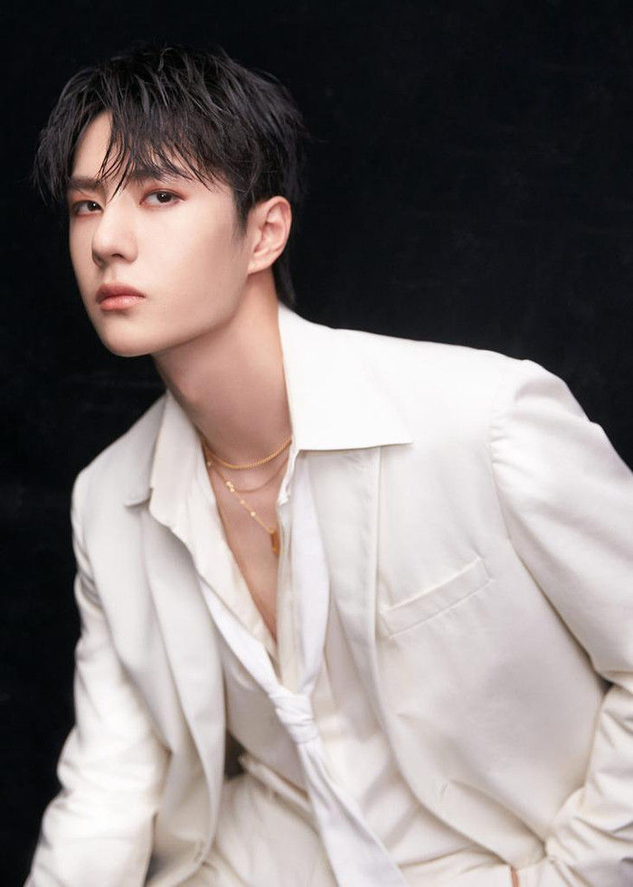 Không làm cũng được hưởng: Tiêu Chiến, Vương Nhất Bác bỗng nhận được lời khen từ tổ chức thiện nguyện Ảnh 10