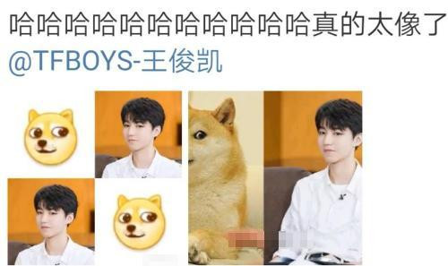 Những gói biểu cảm của Vương Tuấn Khải